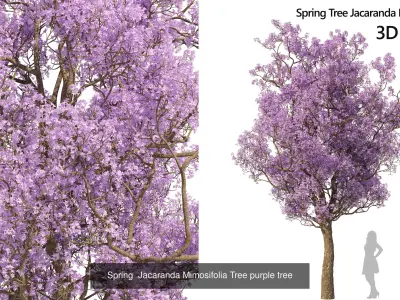Flowering Trees 3D Model Pack