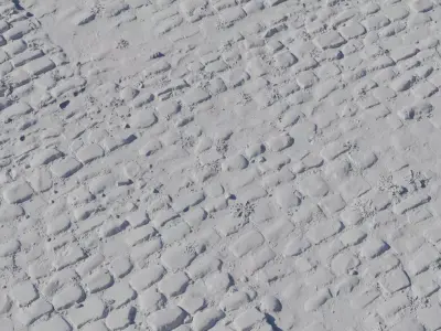 Dusty Cobblestone With Weeds PBR Texture Texture