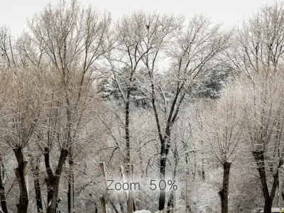 Panorama of the park with a lake and snow-covered trees - 30k 3D model