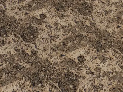 Dried Mud with Pebble Patches Texture