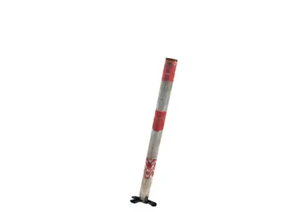 parapedonal pole 3D model