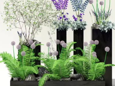 Flowerbeds in black pots 3D model