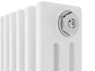 Traditional Radiator 3D model