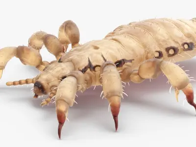  Parasites Collection 