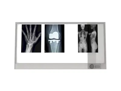 X-Ray lightbox Low-poly 3D model