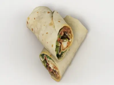 Sandwich Wrap 3D model