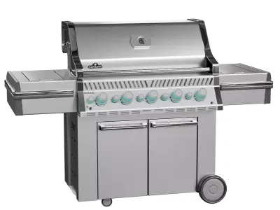 Napoleon Grill 3D model