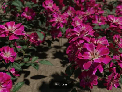 Fogs N Roses 3D Model Pack