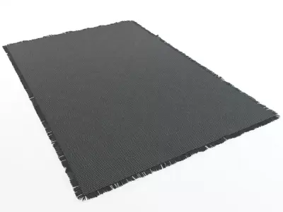 Rugs Pitagora NATUZZI  3D model