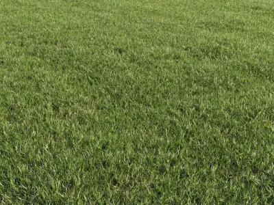  Lawn + Grasses Pack (+GrowFX) 