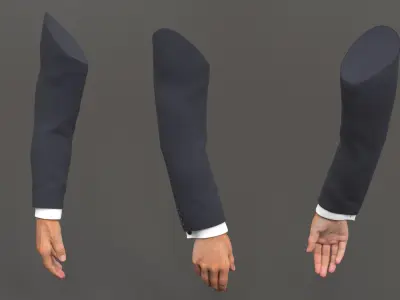  Male Arm Beckon Animated Rigged for Maya 