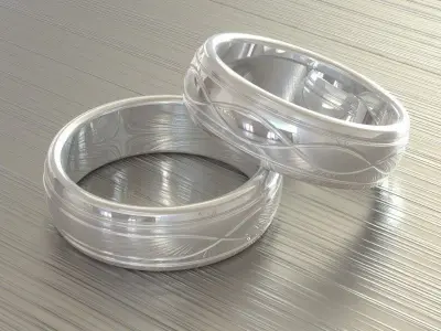 Titanium Ring 2 Free 3D model