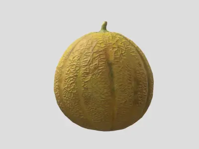 Melon Fruit Low Poly 3D model