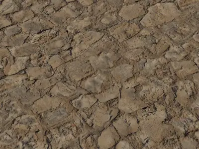 Dry Muddy Stone Pavement PBR Material  Texture