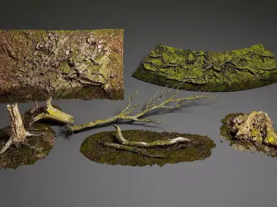 Rock Tree - Environment pack  Low-poly 3D model