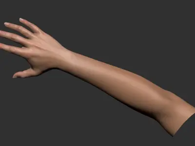  Realistic Female Arm 