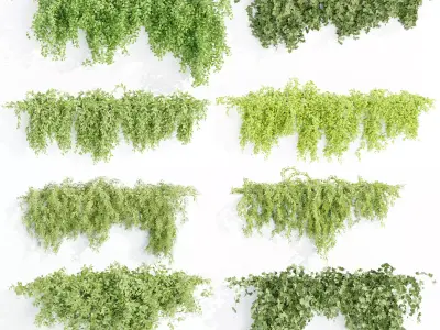 Hanging wall creeper plants collection-Blender-001 3D Model Pack