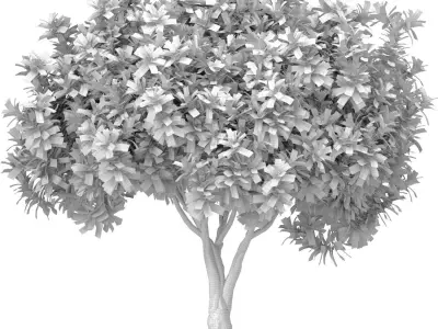Decorative Evergreen Garden Outdoor Tree Shrub 3D model