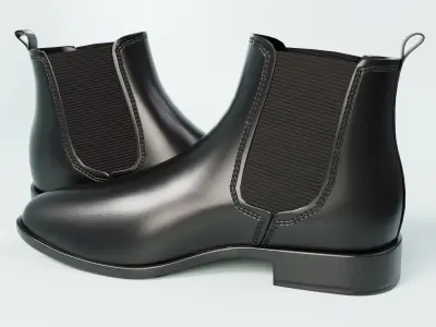 Black Shoe  3D model