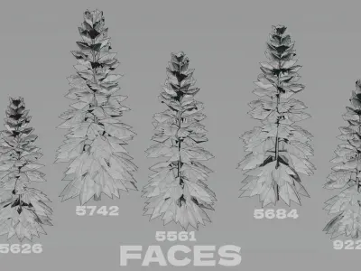 Christmas Tree Pack Blender Low-poly 3D model