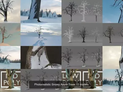 Photorealistic Snowy Apple Trees 3D Model Pack