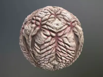 Material Skin Monster 19 Seamless PBR Texture Texture