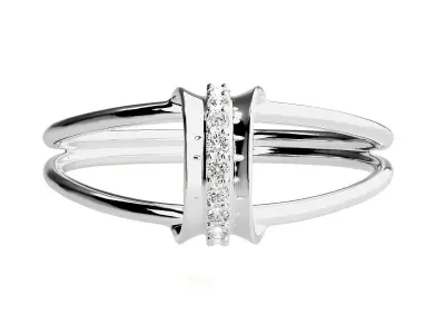 Ring - 68 3D print model