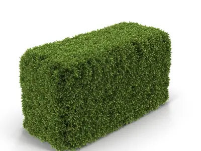 Hedge Box 3D model