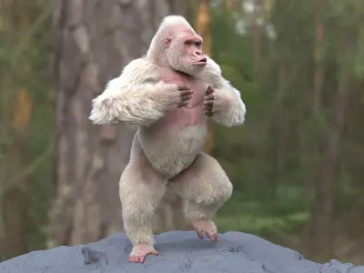  White Gorilla Rigged 