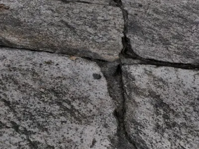 Stone Wall with Leaves 3D model