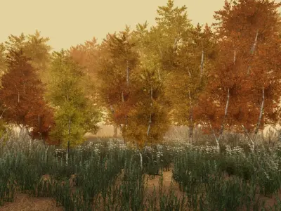 Birch forest pack for Unity Low-poly 3D model