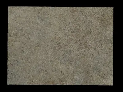 Grass piece of paper Texture