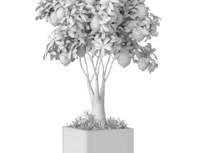 Lemon tree in a modern potted flowerpot Decorative Citrus Fruit  3D model