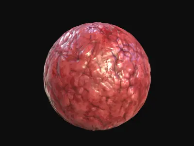 10 Seamless Organic PBR Materials - Set 1 - Texture