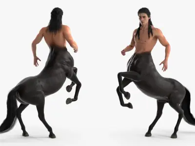  Long Haired Male Centaur Action Pose 