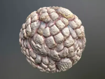 Material Skin Monster 47 Seamless PBR Texture Texture