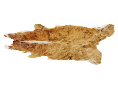 Animal skin rug 09 3D model