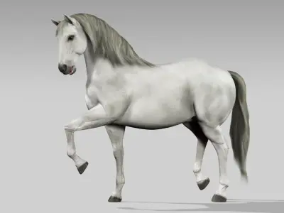  Horses Bundle (Animated) (Fur) 