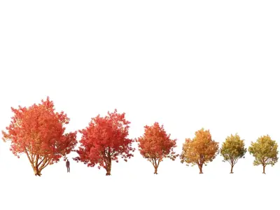 Autumn Colors Collection Pack 06 3D model