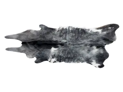 Animal skin rug 12 3D model
