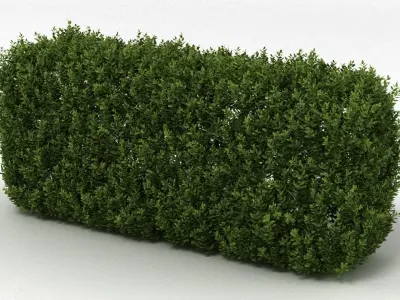 Hedge 3D model