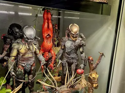 Flayed Trophy Victim for Predator Displays 3D print model