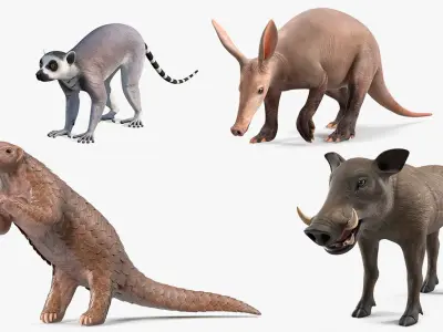  African Mammals Collection 