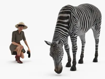  Explorer and Zebra 