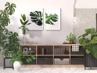 Tropical Indoor plant collection 3D model
