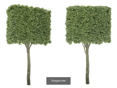 Garden Topiary Bush Collection 3D Pack 01