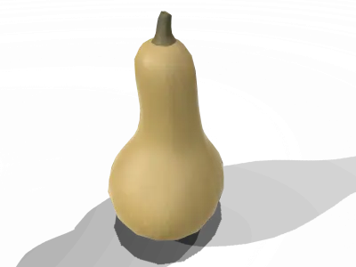 Squash Butternut
