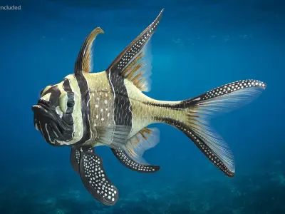  Coral Fish Collection 4 Rigged for Maya 