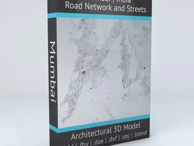 Mumbai Area Road Network and Streets 3D model
