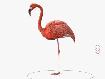 Bird Flamingo Pink Animated Rigged for Blender 